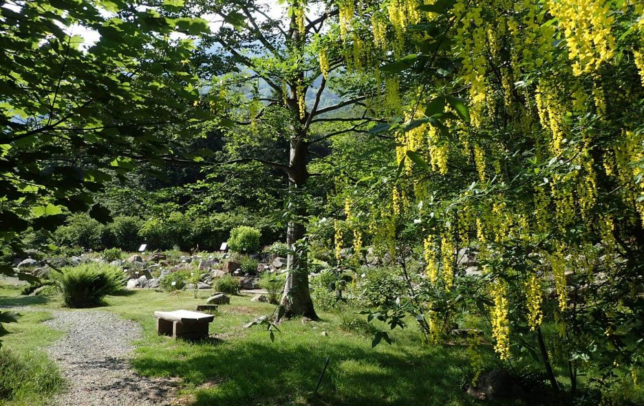 Oropa's botanic garden, Italy, Italy
